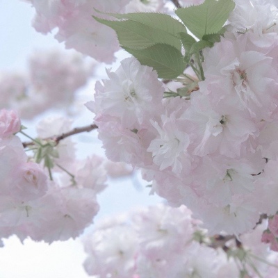 Furry兽设设计技巧兽圈群